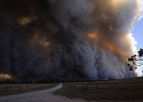 bushfire