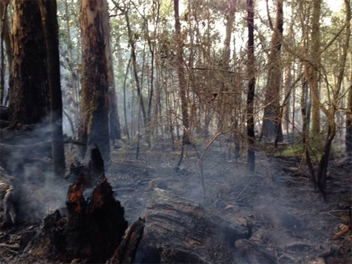 burn-off-mt-macedon