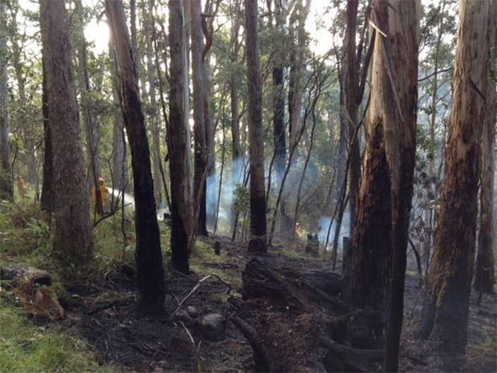burn-off-mt-macedon2