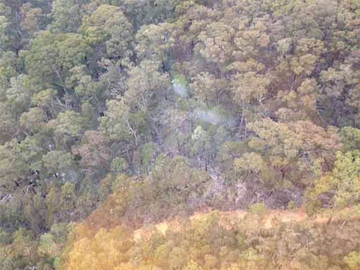 depi-helicopter-mt-macedon4