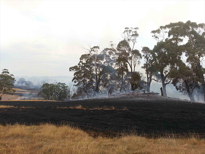 kyneton-blackhill-fire2