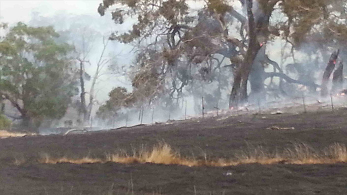 kyneton-blackhill-fire5
