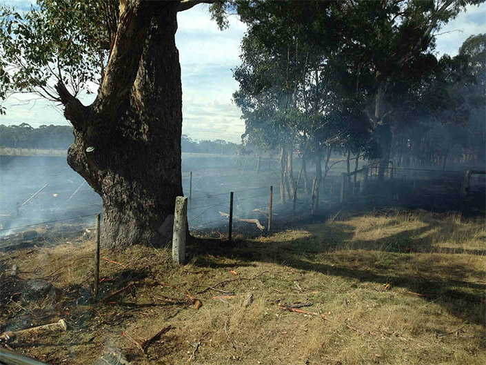 easter-saturday-fires3
