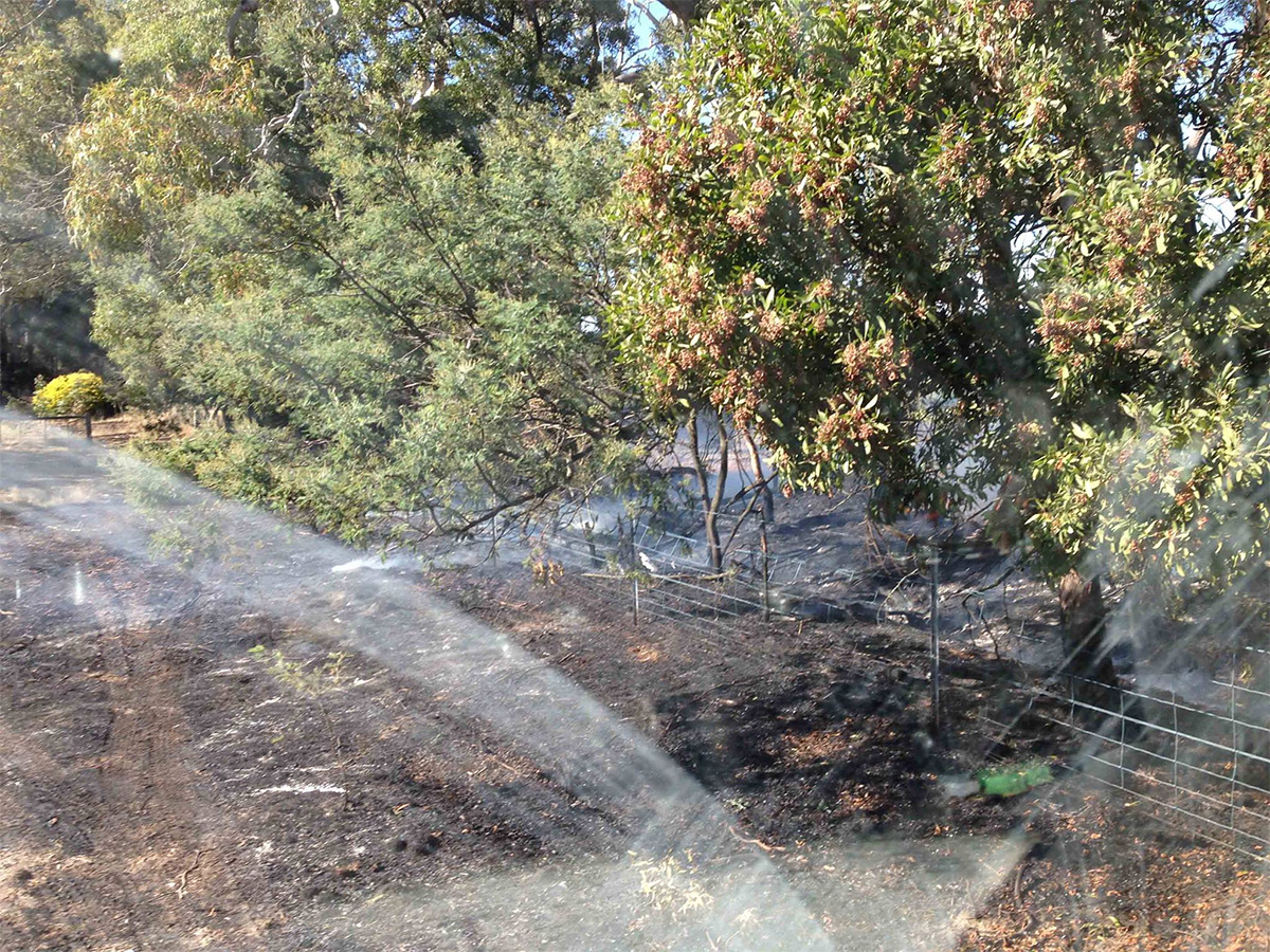 newham-grass-scrub-fire2