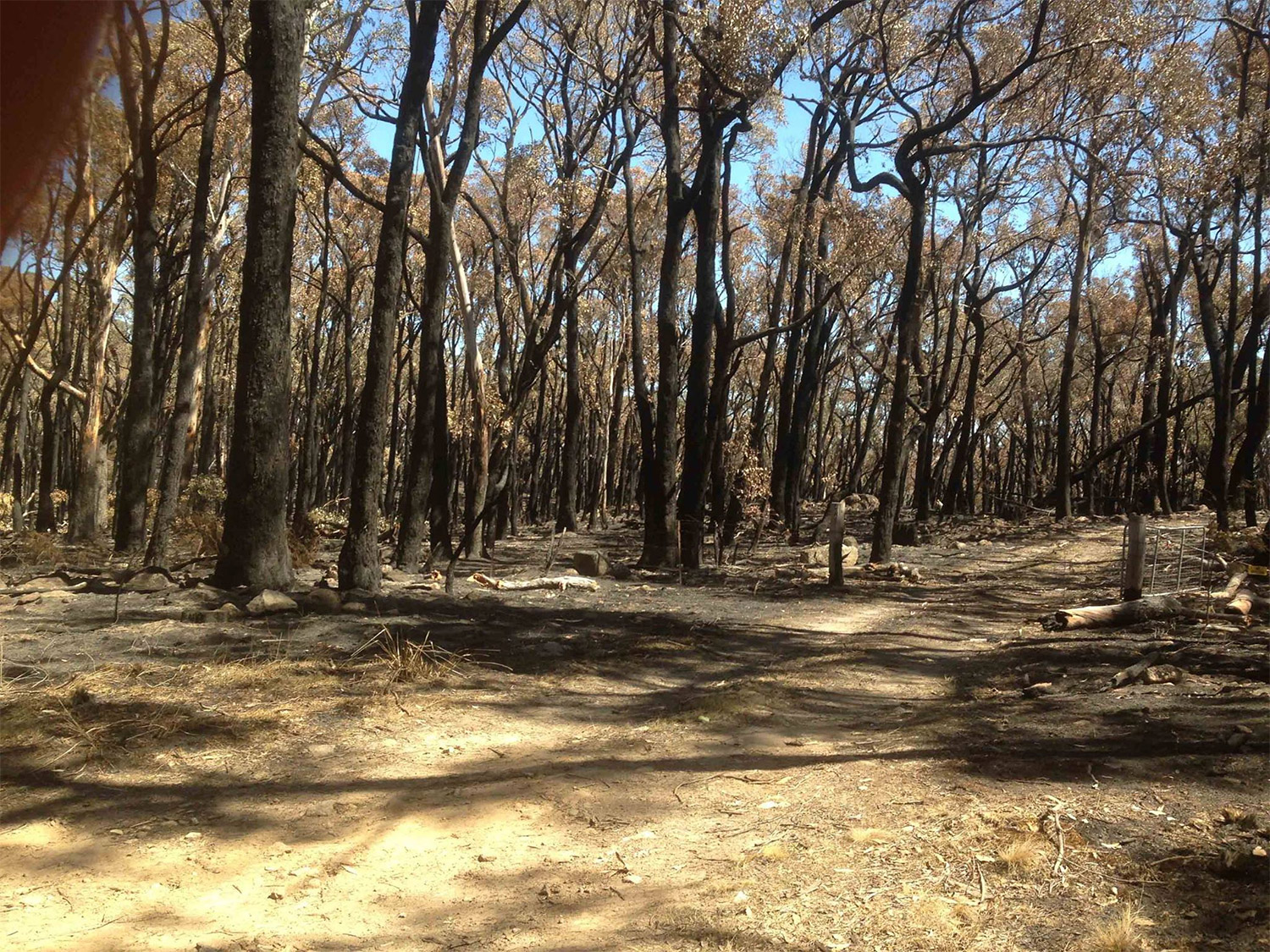 Lancefield Cobaw fires
