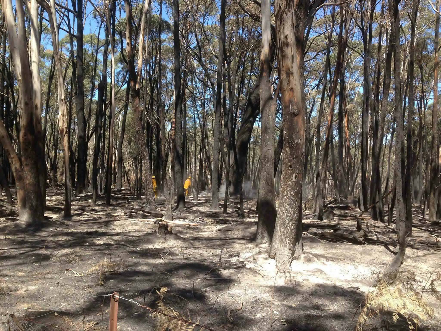 Lancefield Cobaw fires