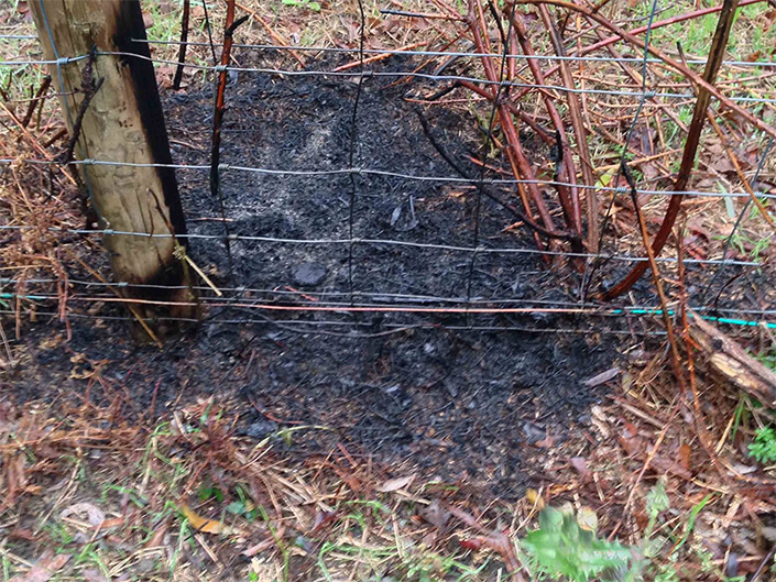 gardener-quadrant-electric-fence-fire2