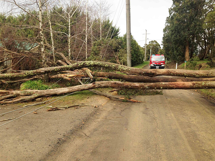 power-line-down-beves-lane1