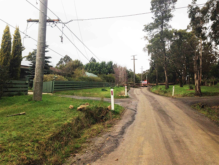 power-line-down-beves-lane2